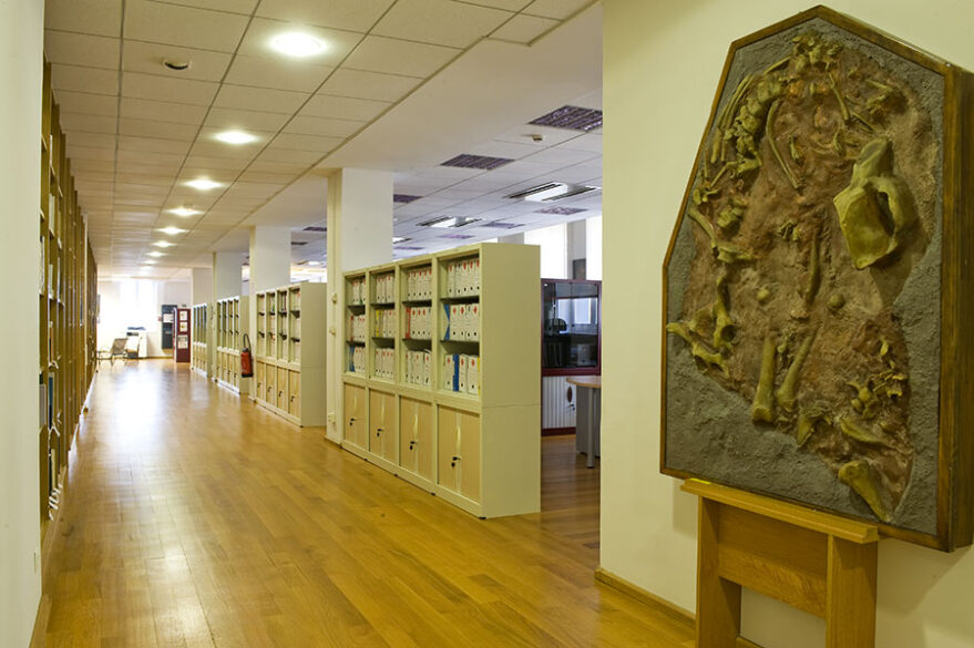  Centre de conservation et d'étude des collections