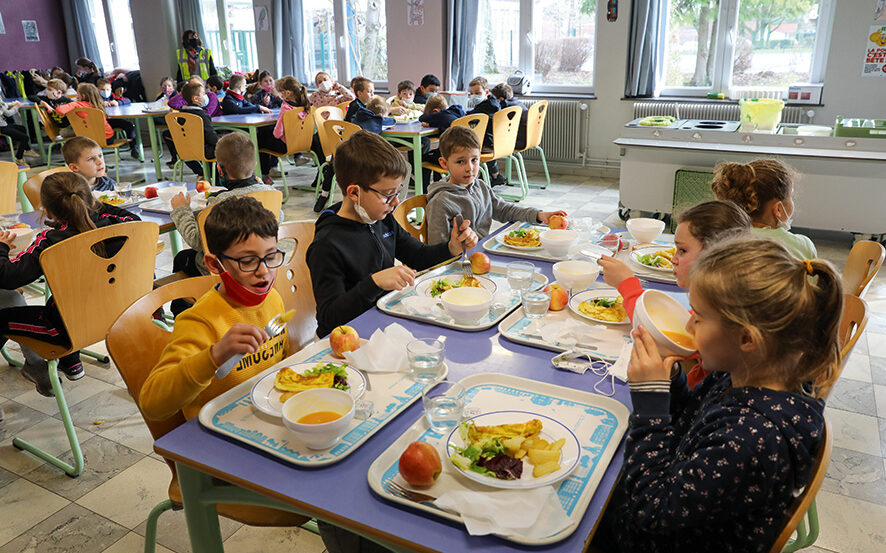 le retour de la viande dans les cantines