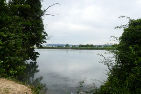 Grand Parc de Miribel-Jonage