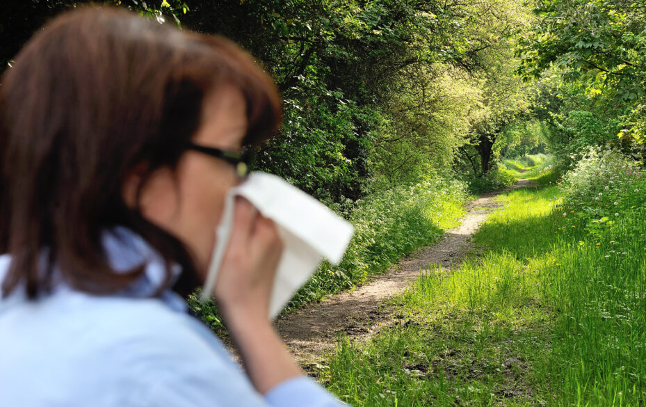 Les pollens d'ambroisie saturent l'air de la Métropole de Lyon - Vimarsana News