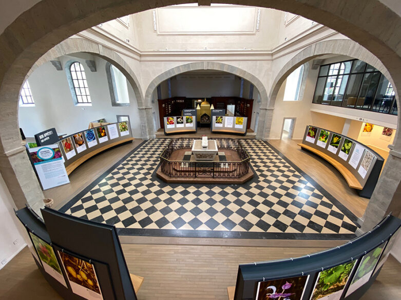 Un nouveau projet de Cité internationale de la gastronomie de Lyon à