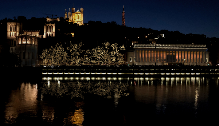 Lyon. Les lumières des rues ne seront plus éteintes la nuit, voici à partir  de quand