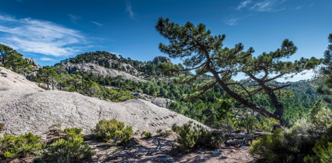 L'ultra trail Terre des Dieux emprunte le sentier corse du GR20