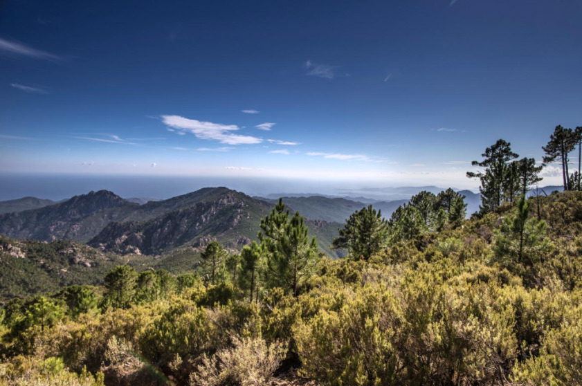 L'ultra trail Terre des Dieux emprunte le sentier corse du GR20