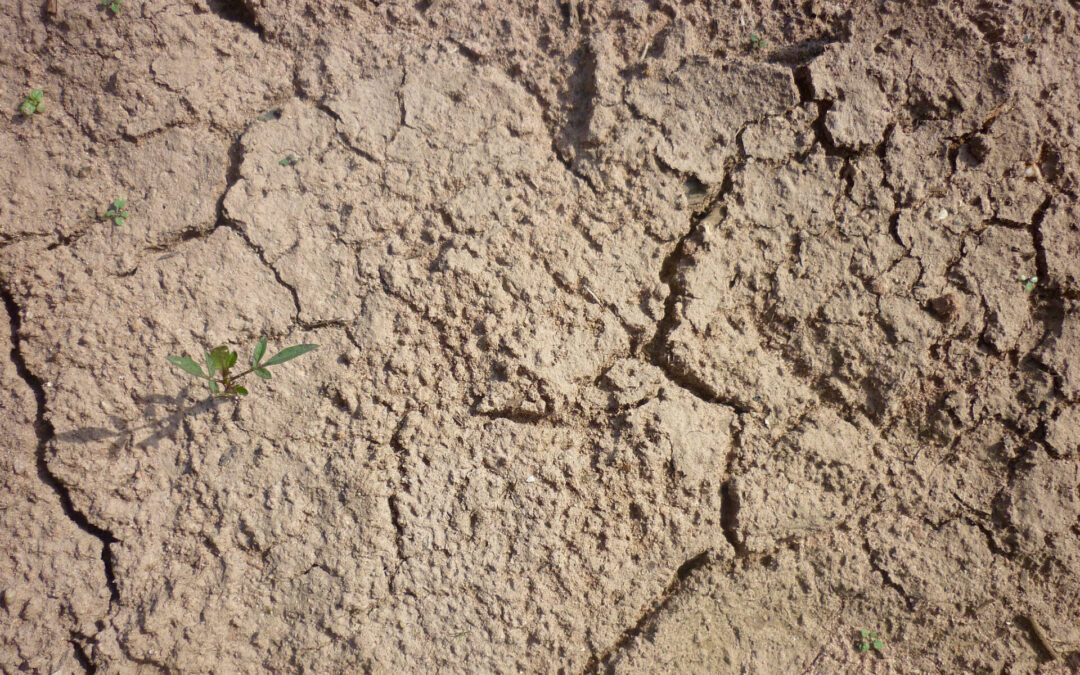 La reconnaissance de catastrophe naturelle pour la sécheresse à été reconnu ce 31 mars pour la commune de Jons.