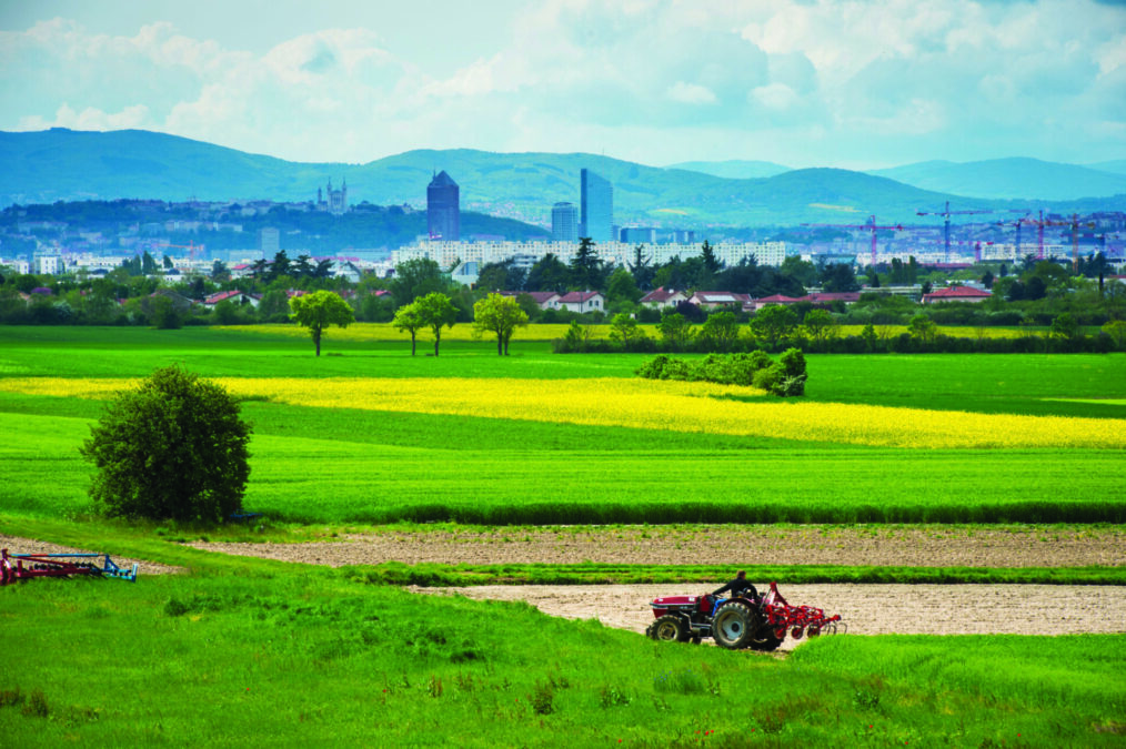 Le sentier du Biézin à Décines