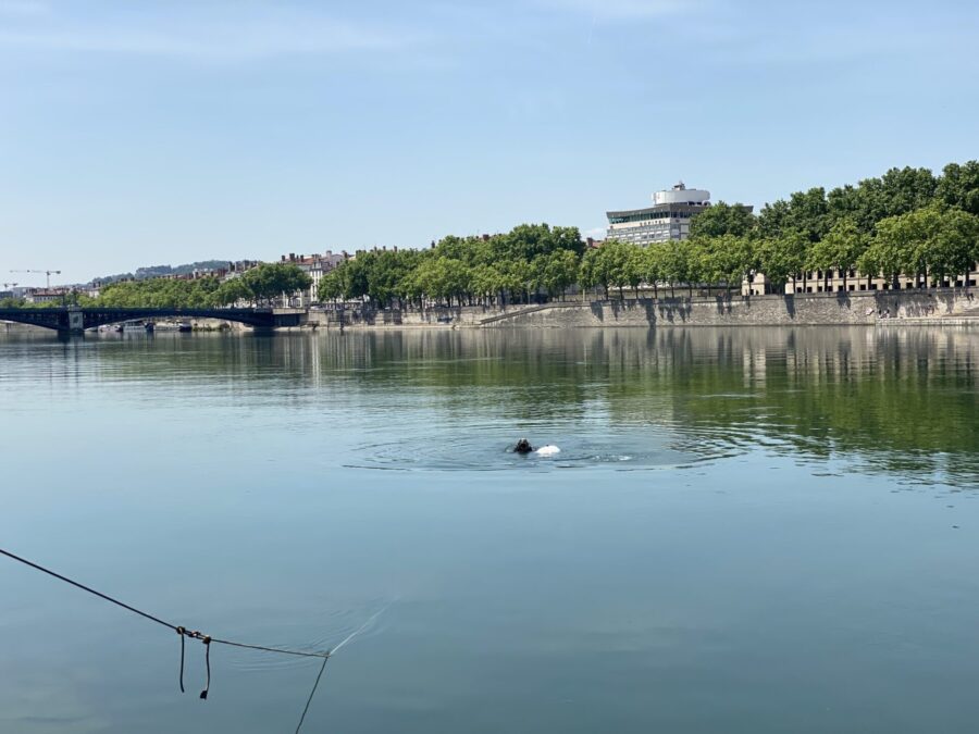 Des plongeurs de Diving For Nature