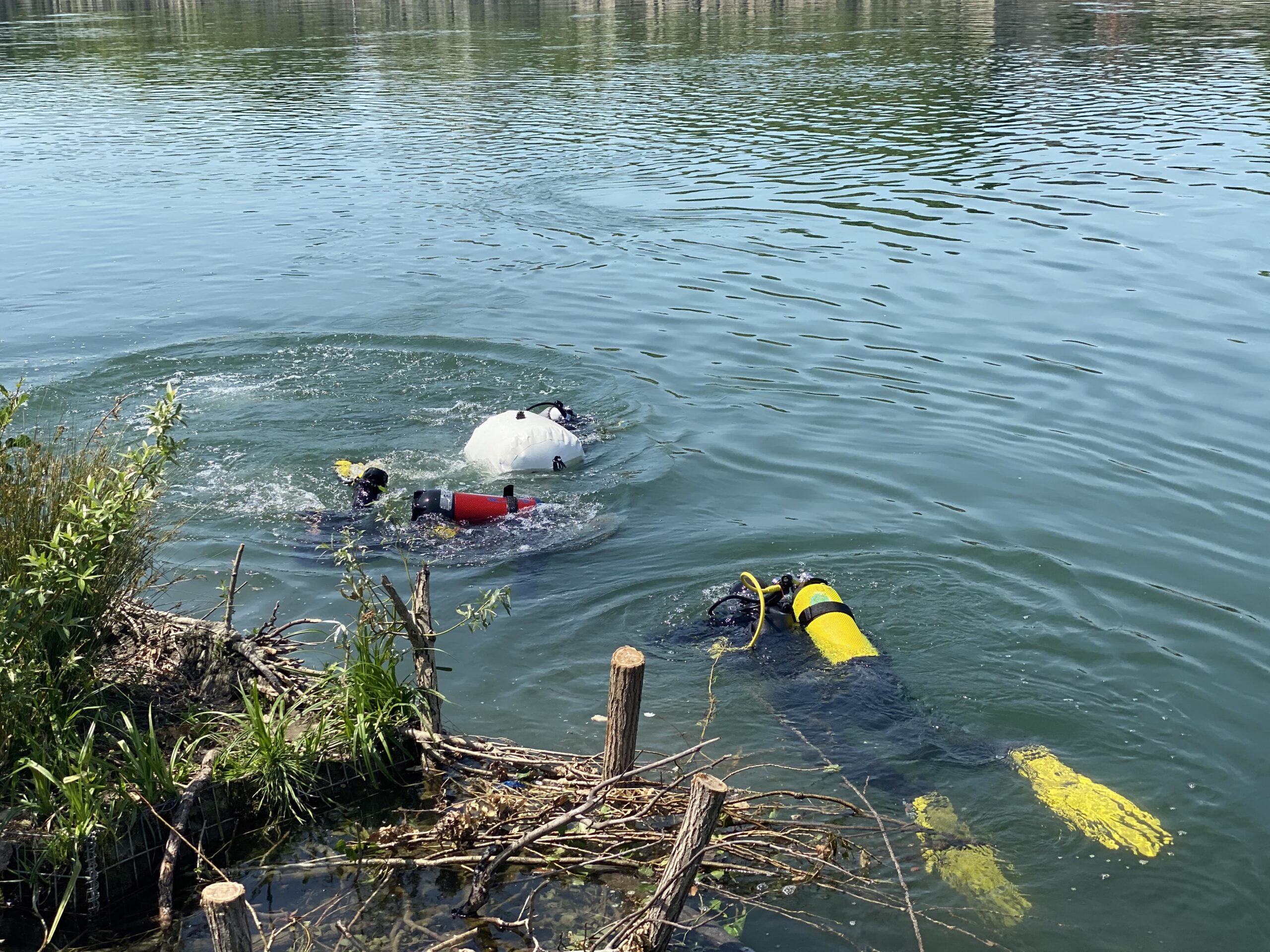 Des plongeurs de Diving For Nature