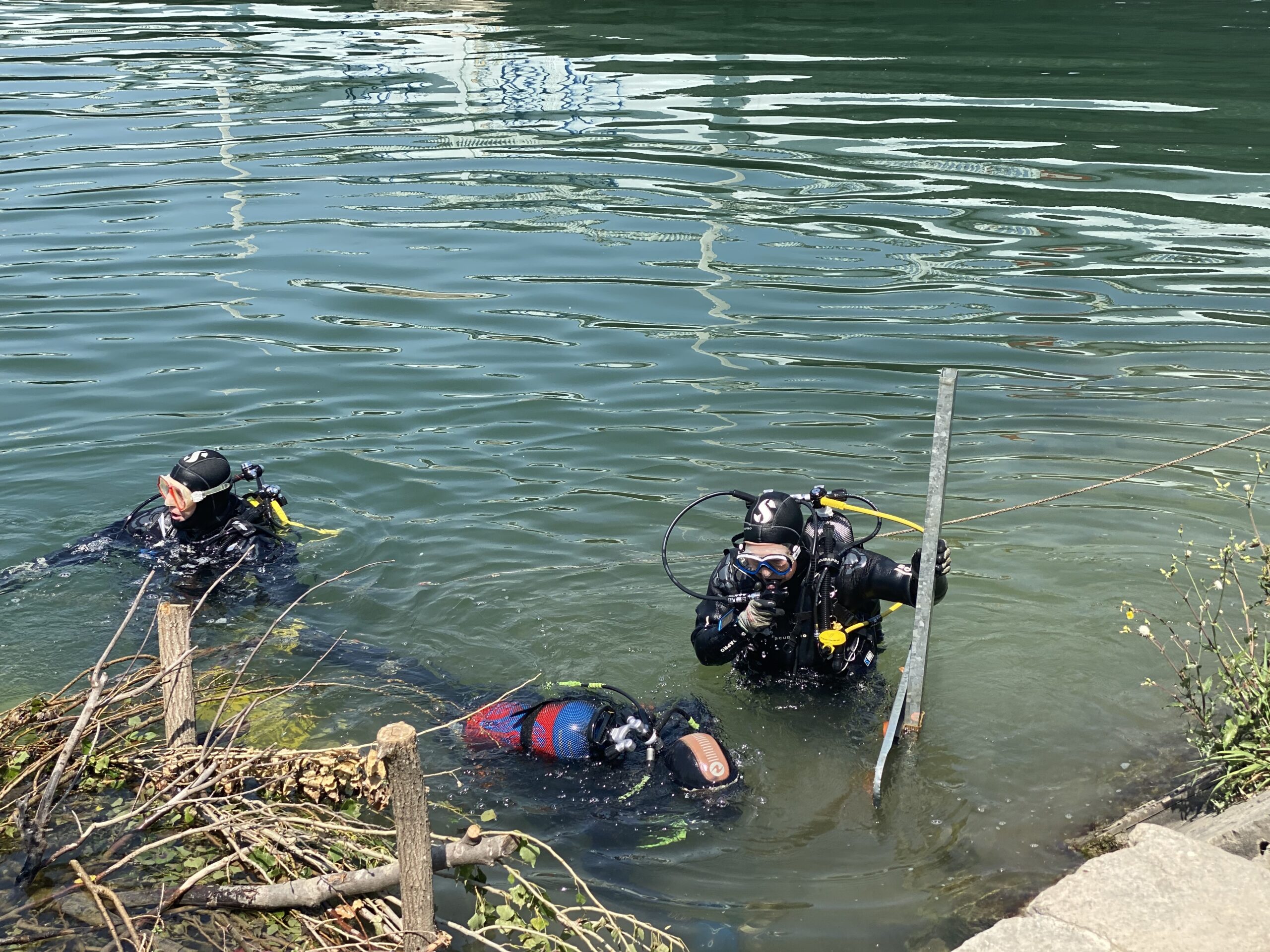 Des plongeurs de Diving For Nature