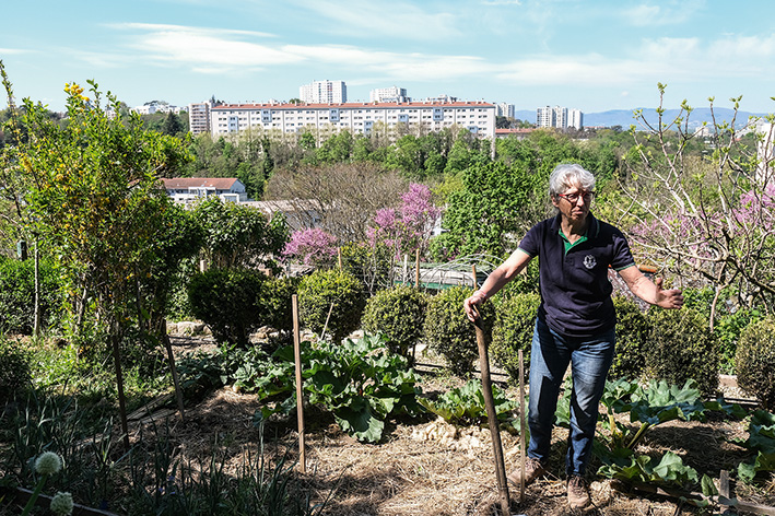 jardins ouviers de Lyon