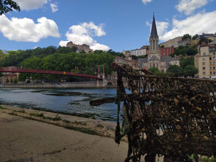 Déchets vieux Lyon Crédits Massimo Goyet