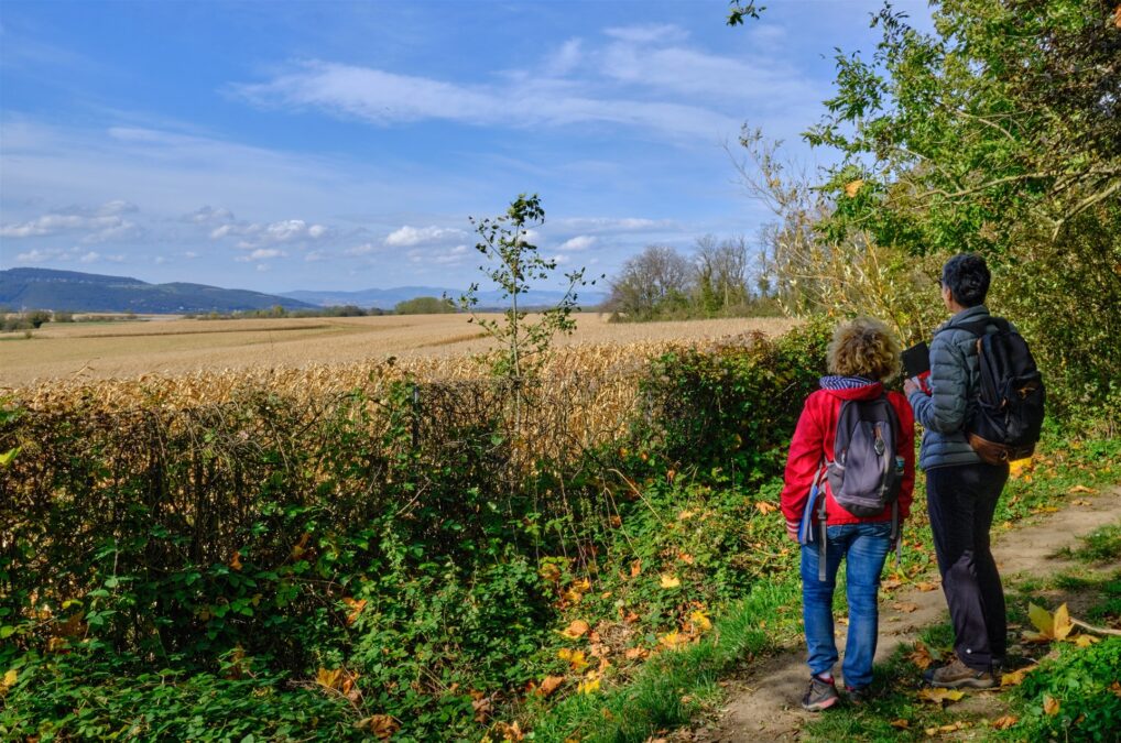 Le sentier de grande randonnée GR de la Métropole de Lyon