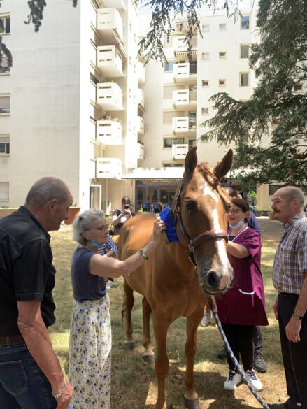 Peyo le cheval 