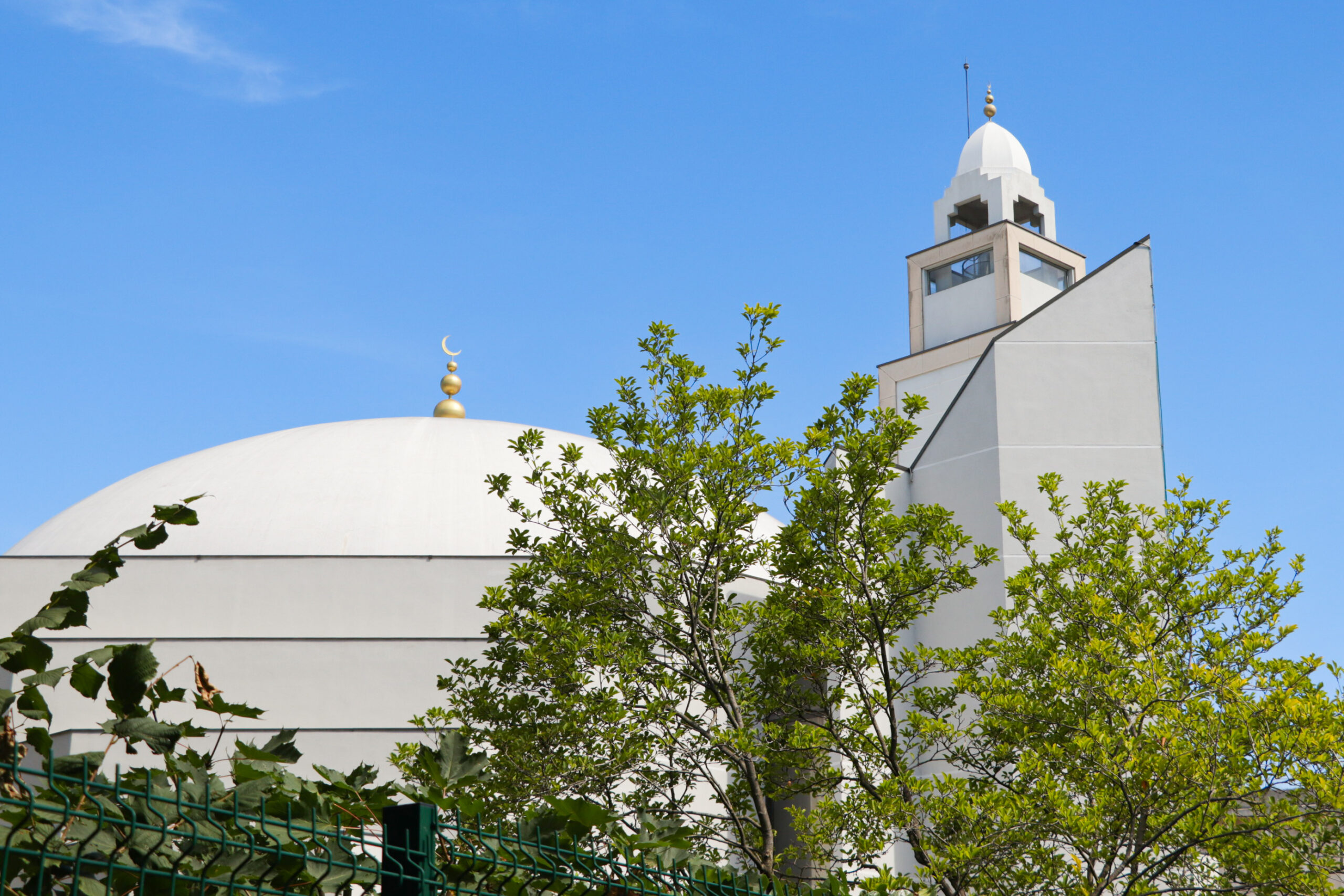 Grande Mosquée de Lyon