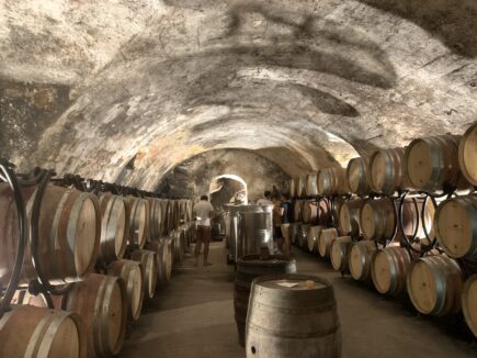 Wine and Ride, cellar, wine