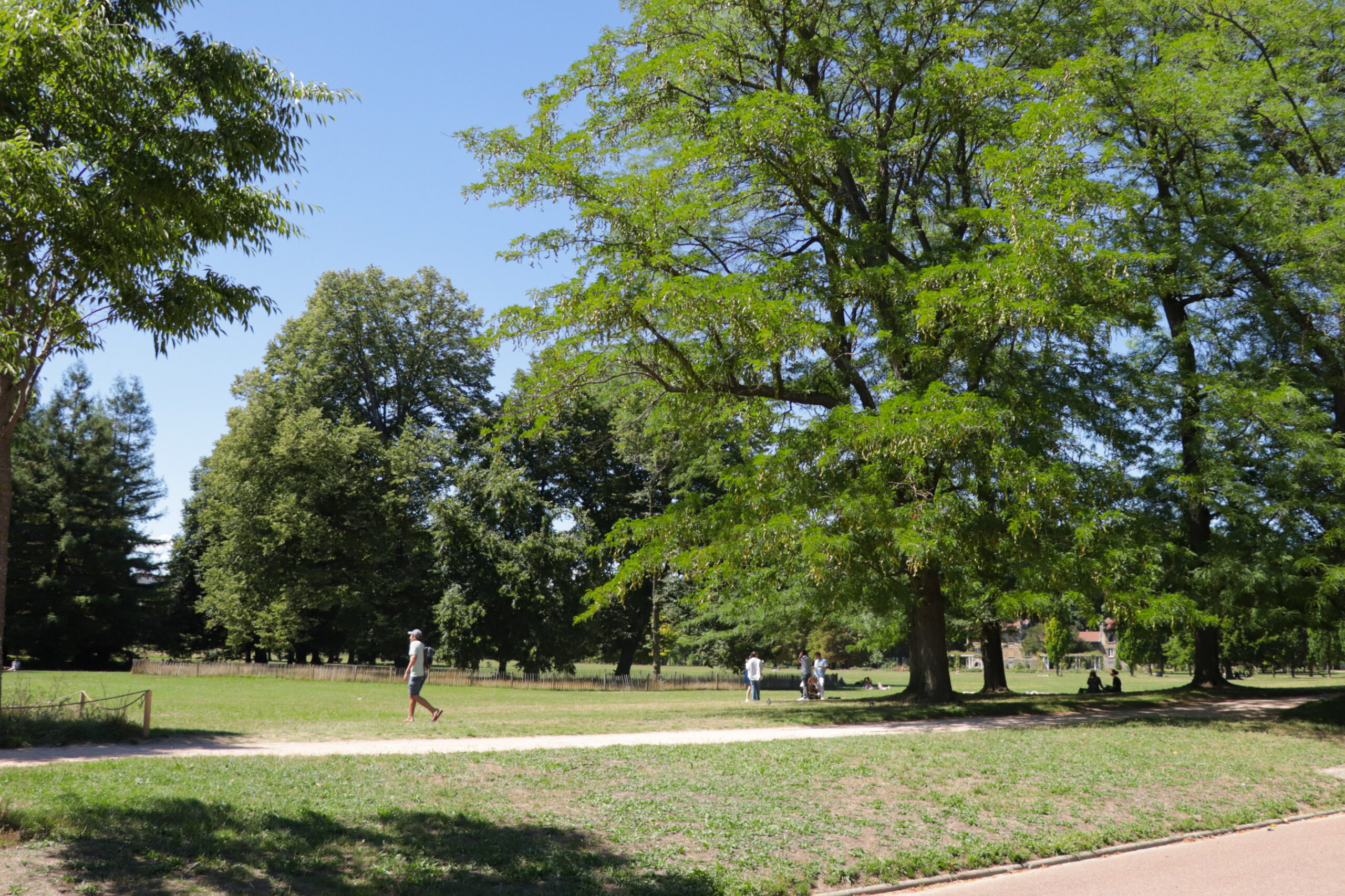 Parc de la Tête d'Or