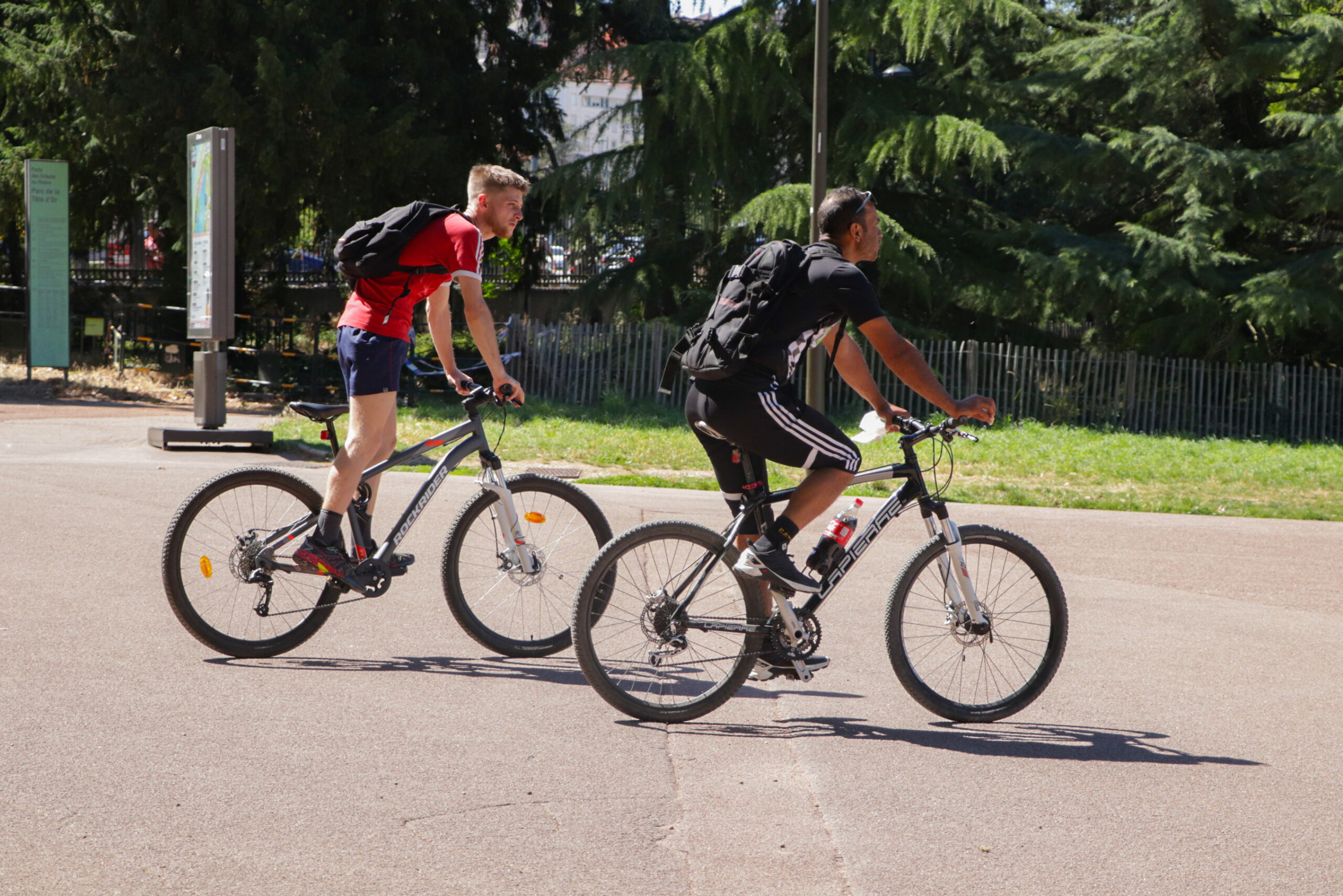 Vélos / Parc de la Tête d'Or