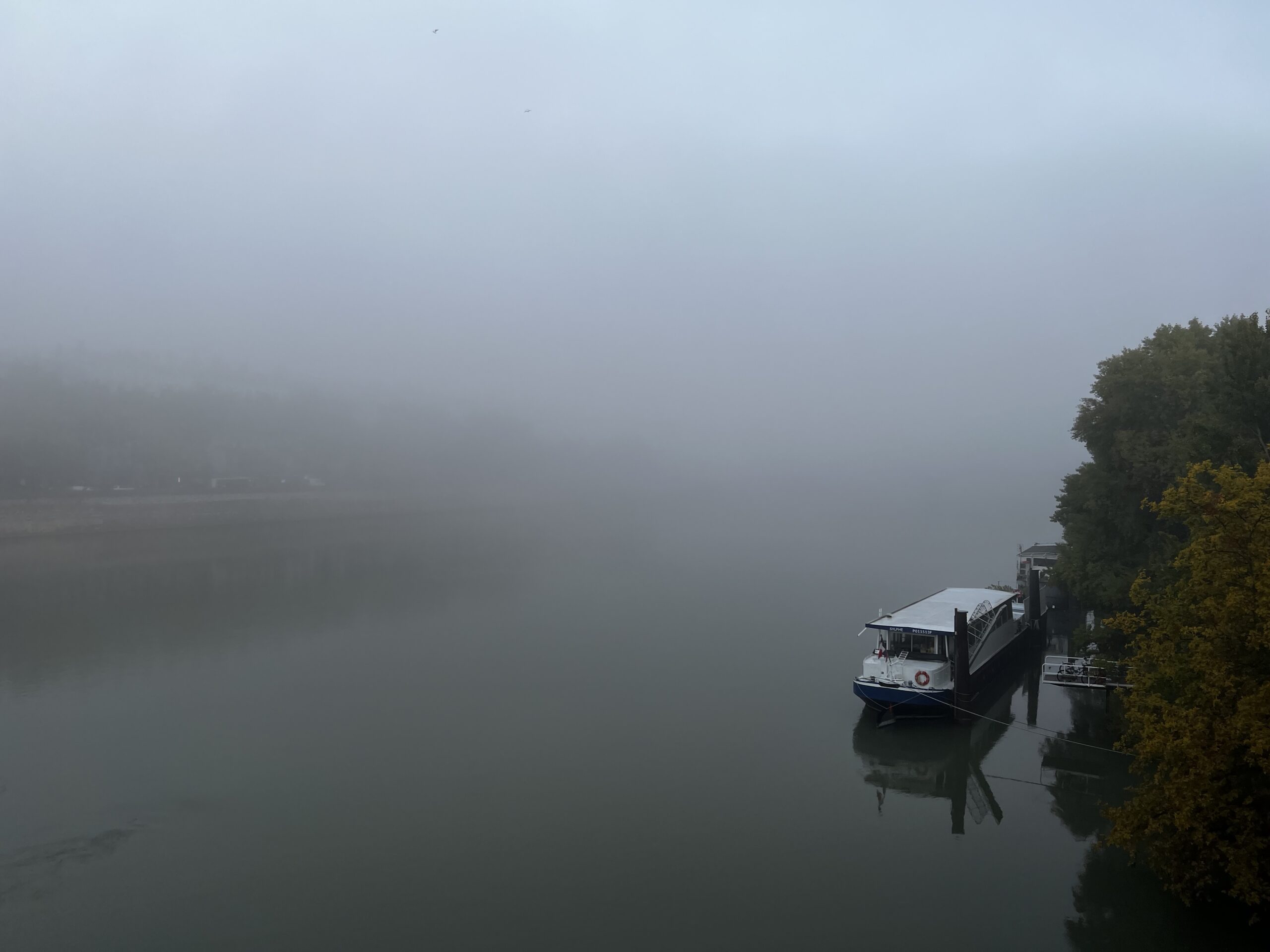 Brume matinale sur le Rhône