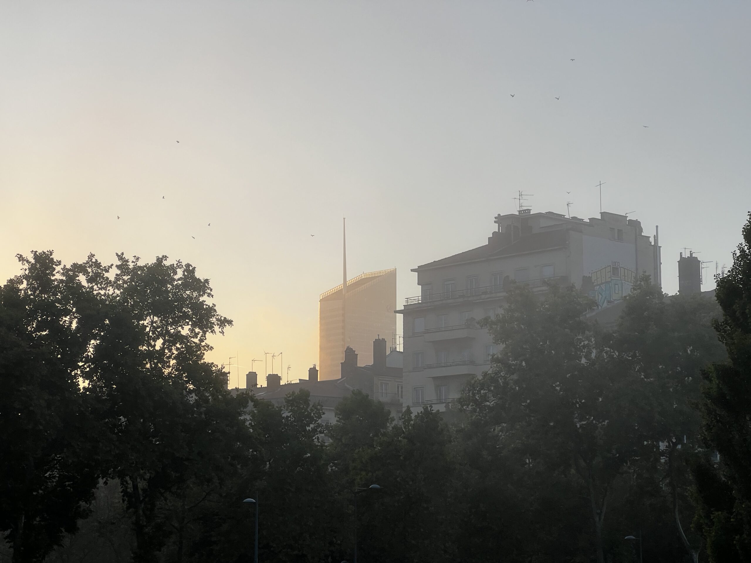 Brume matinale à Lyon