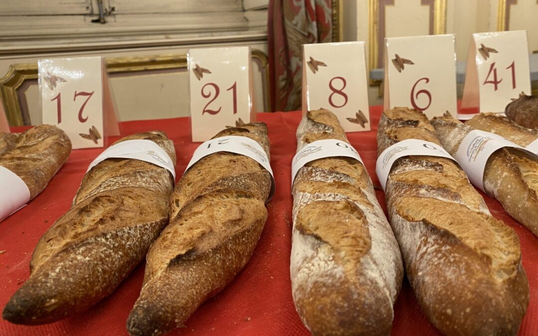 La Meilleure baguette du Rhône, 14e édition