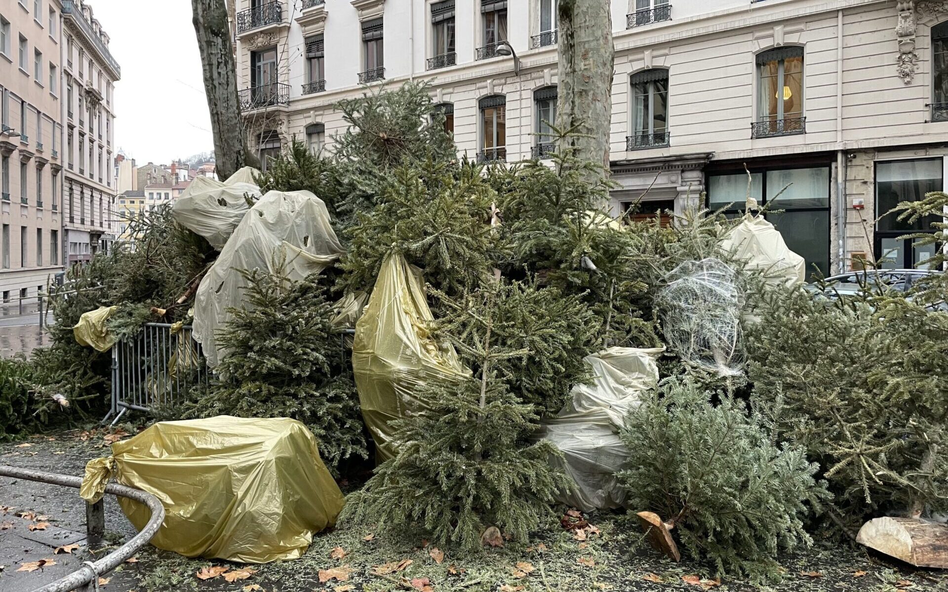 Où et quand jeter votre sapin de Noël à Lyon