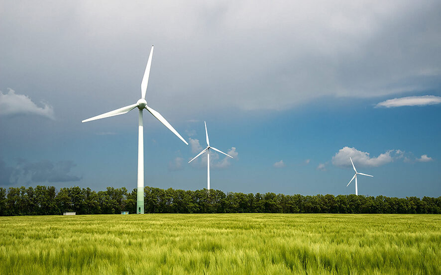 Des éoliennes dans un champ