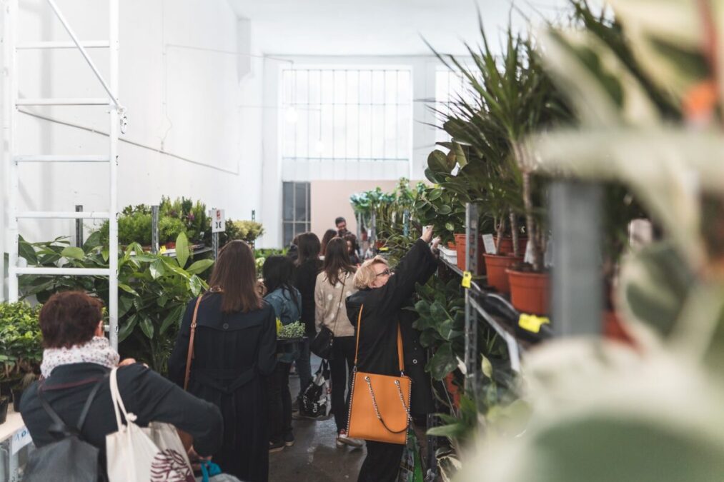 vente plantes lyon villeurbanne