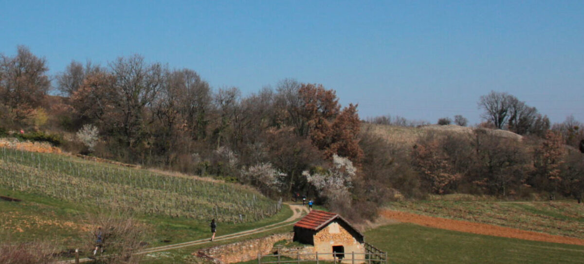 Trail des Cabornis