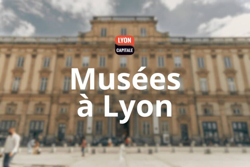 musée lyon