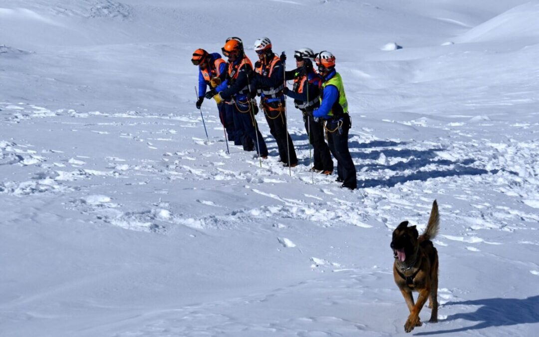 Avalanche PGHM secours en montagne