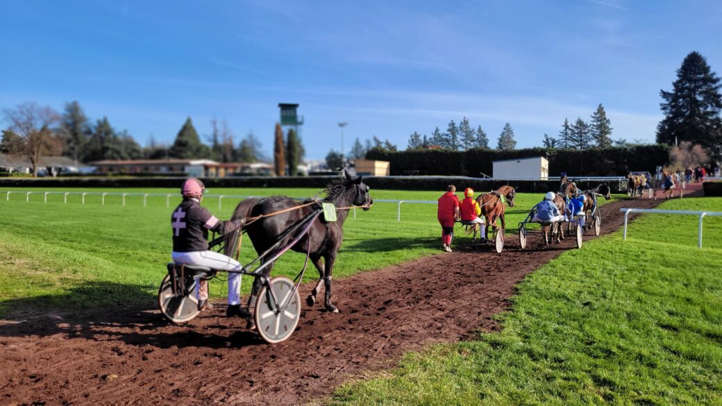 hippodrome lyon