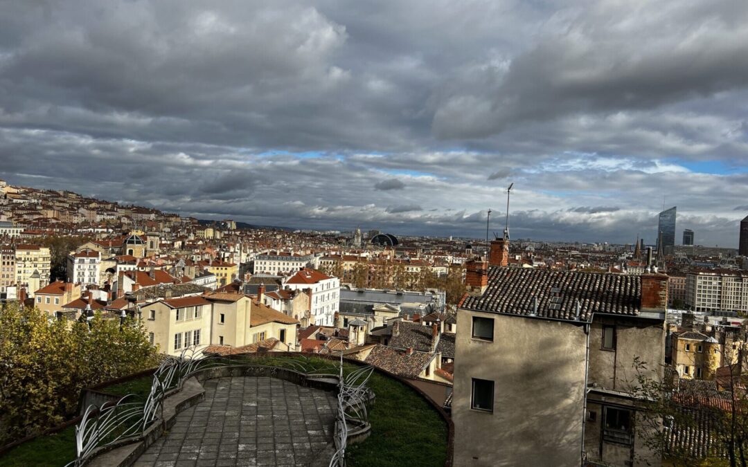 vue panorama lyon