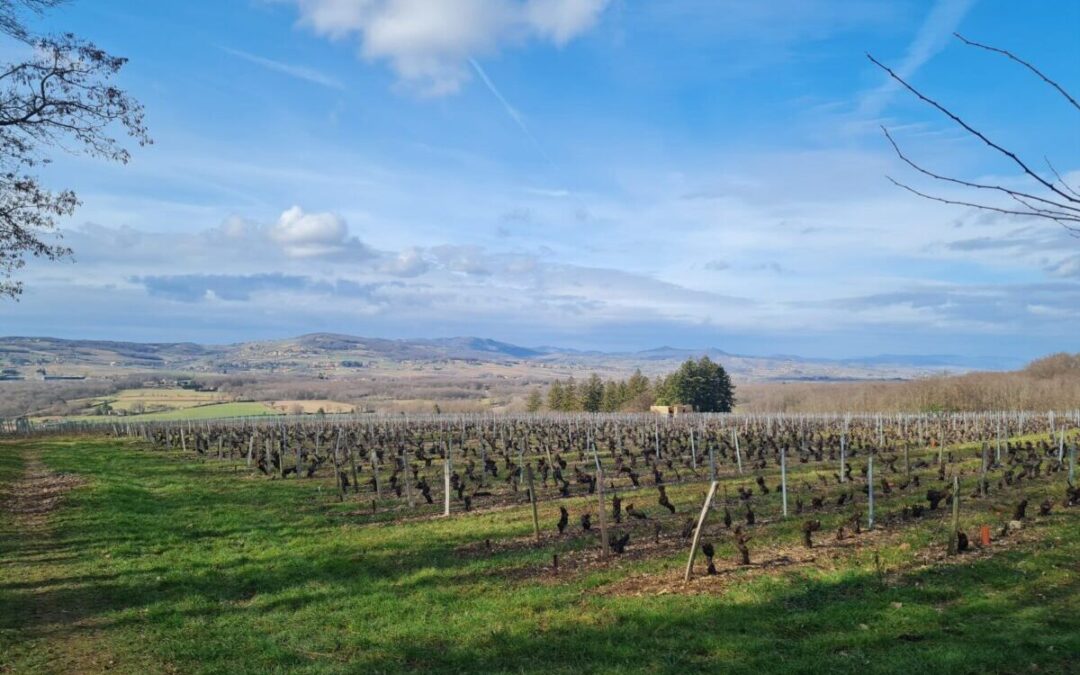 paysages Beaujolais