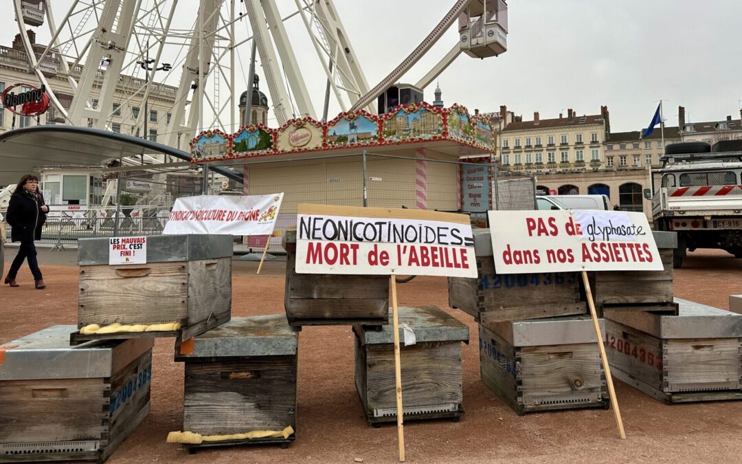 Ruches places bellecour