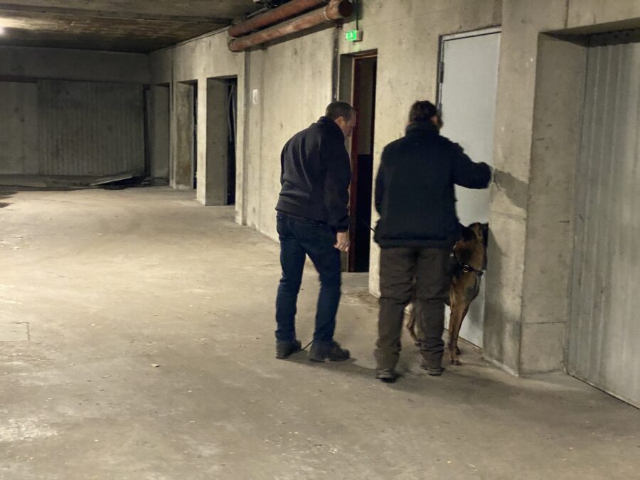 policiere à la recherche de drogue dans une cave