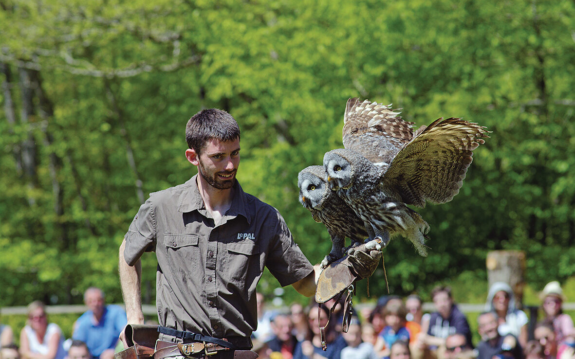 Dans l’Allier, le Pal a fêté ses 50 ans l’année dernière, et une bonne place dans le top 5 des parcs d’attractions les plus visités de France. © PAL