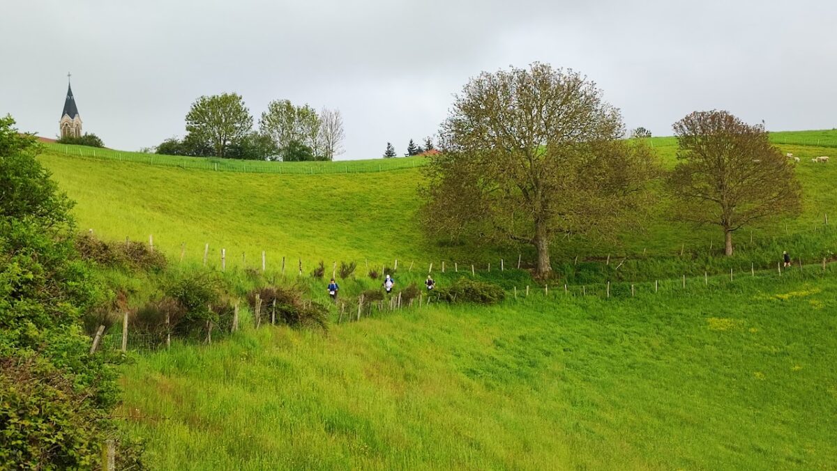 Paysages des monts du Lyonnais