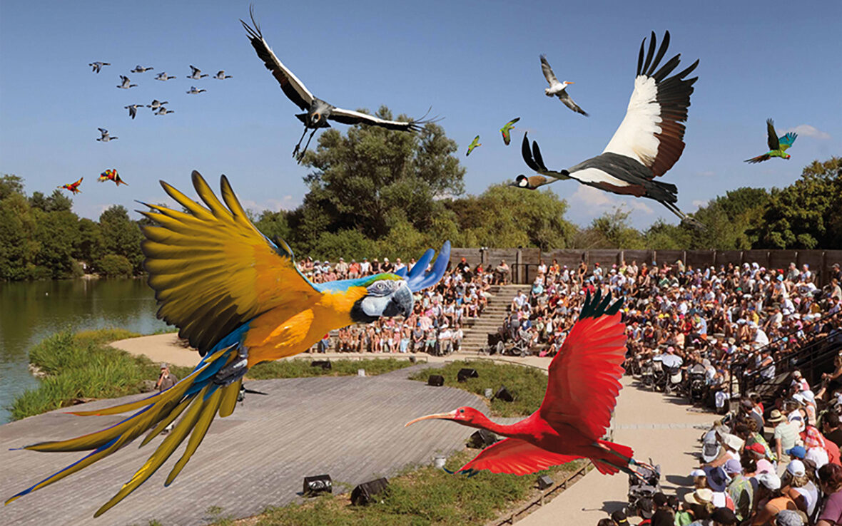 Parc des oiseaux dans la Dombes