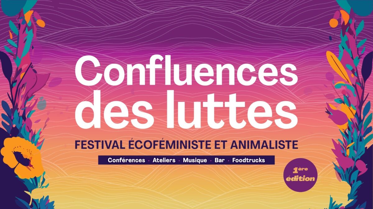 première édition du festival confluences des luttes à Lyon