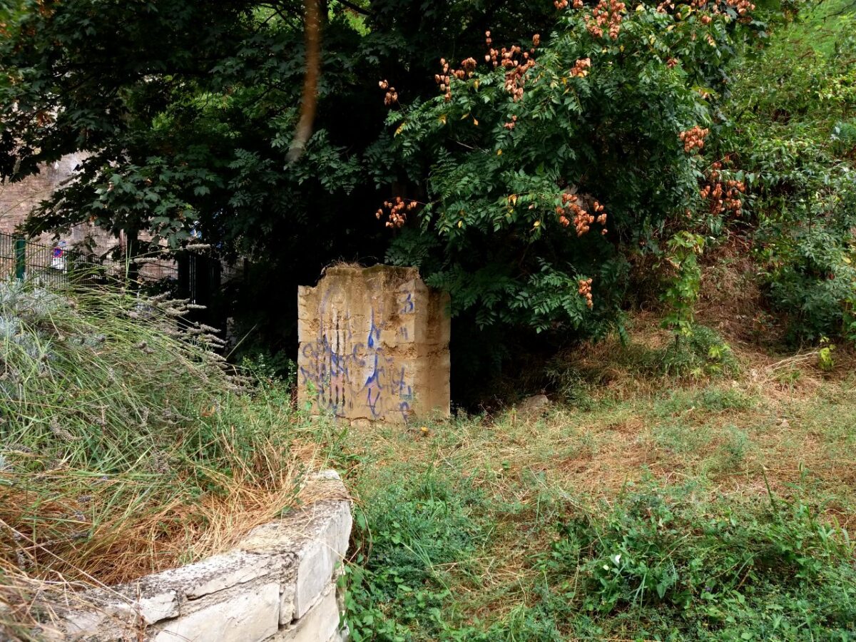 jardin friche mont sauvage