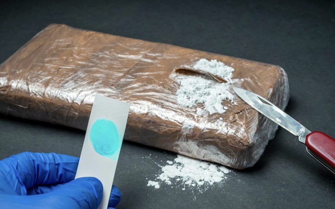 Les douanes ont intercepté un camion transportant 75 millions d'euros de cocaïne.. @Cour des comptes