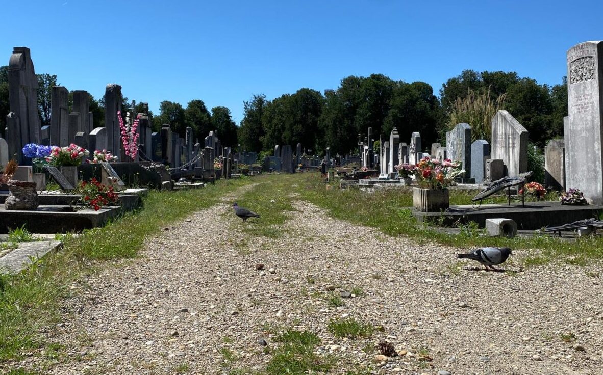 Cimetière de la Guillotière à Lyon