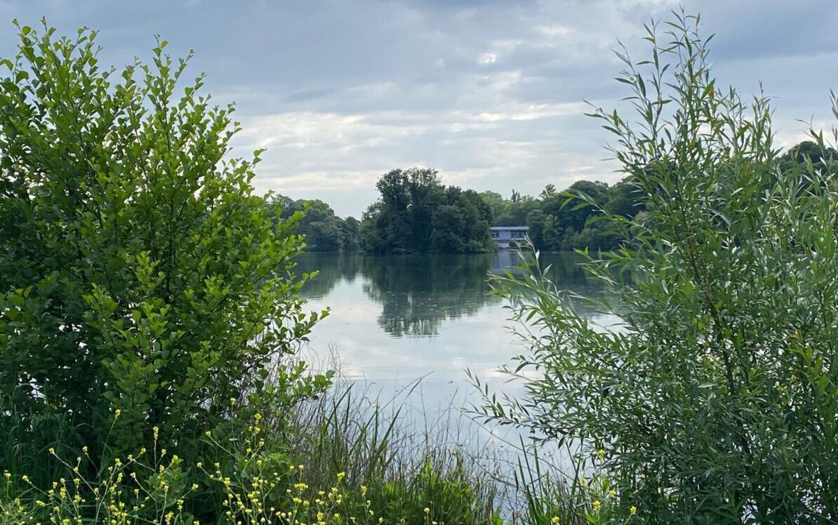 petite île des Tamaris du parc de la Tête d'Or