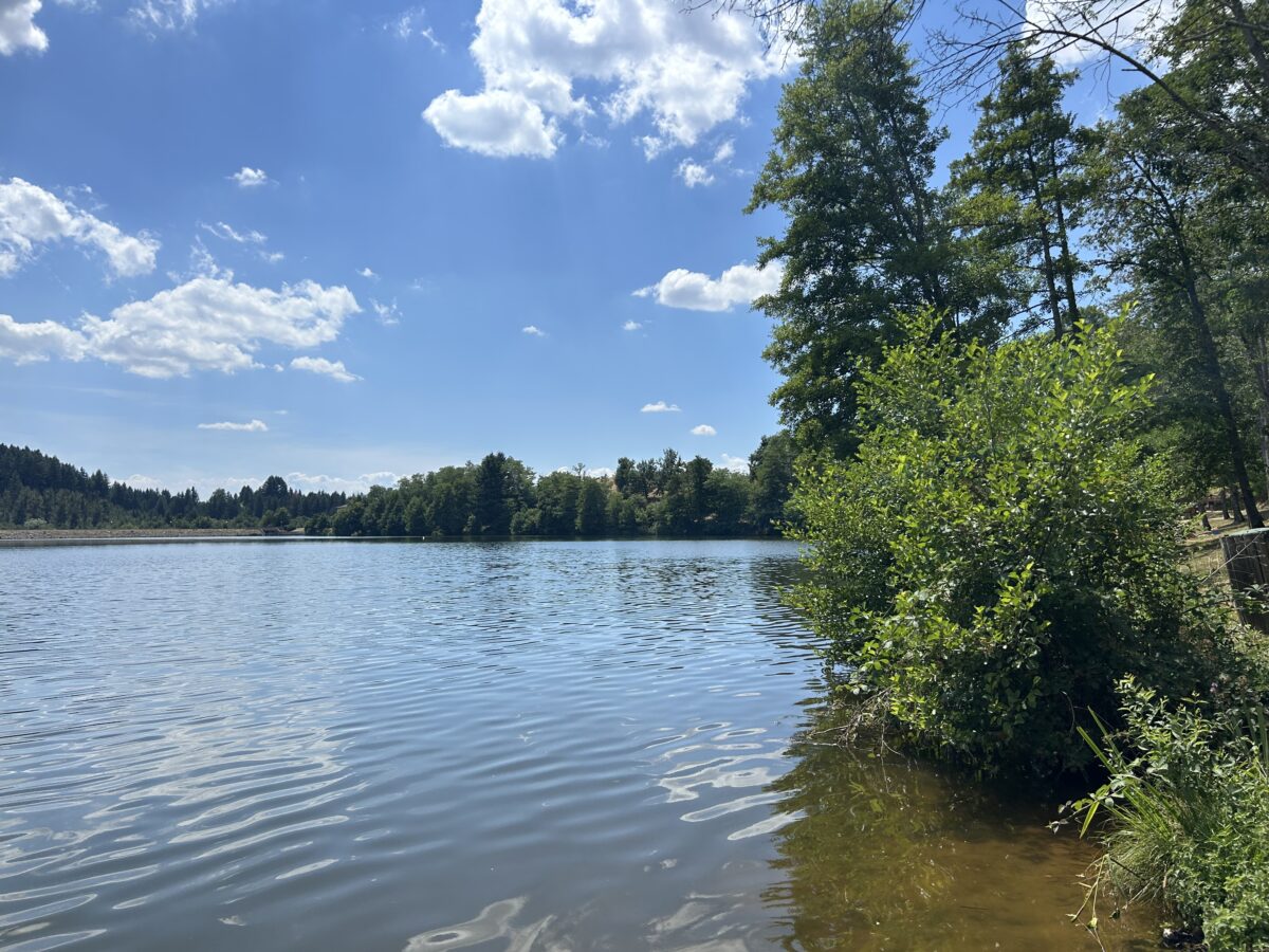 Lac des Sapins