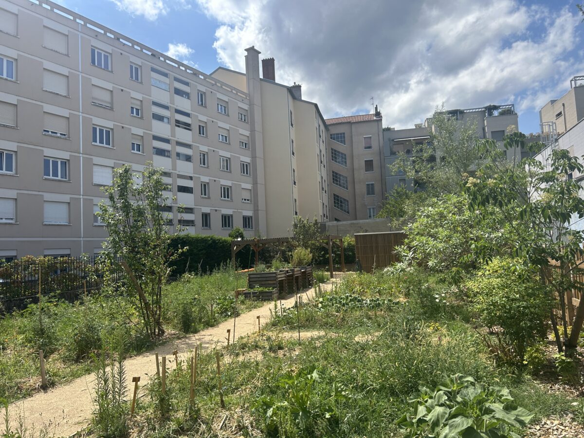 Travaux jardin partagé villeurbanne
