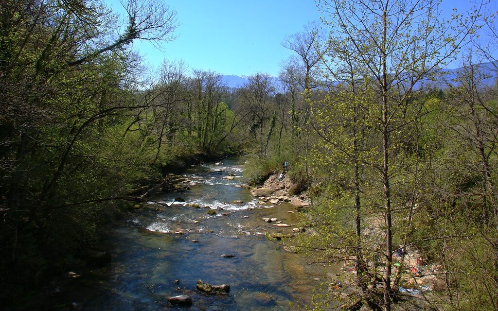 L'Allondon, rivière franco-suisse. ain