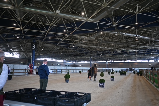 Equita Lyon visite vétérinaire