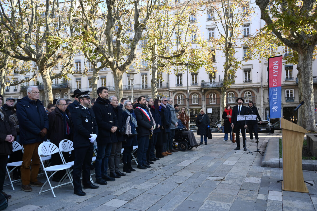 arbre ilan halimi doucet