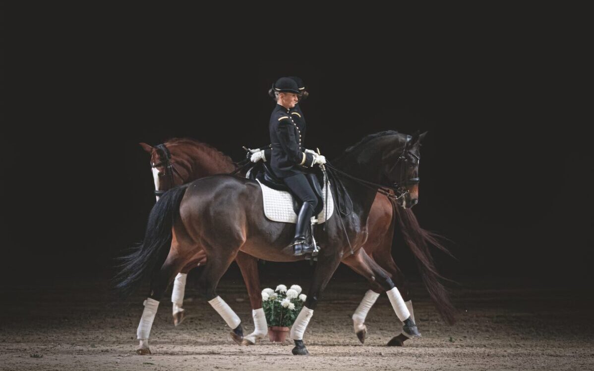 cheval cadre noir de Saumur