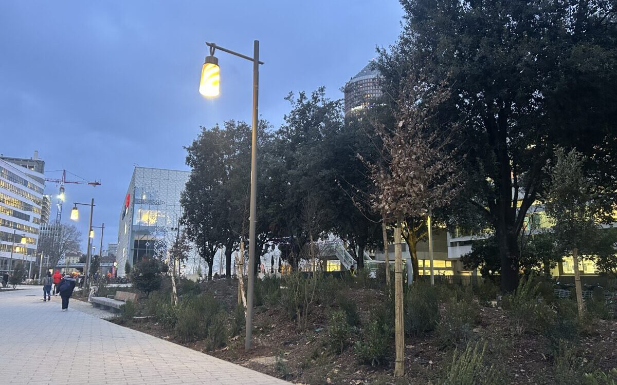 Bois Part-Dieu arbres